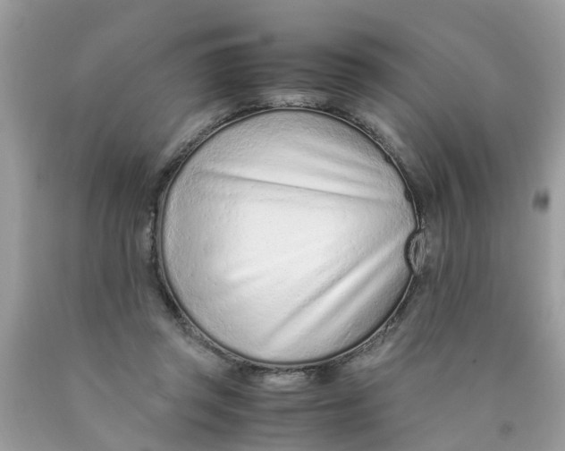X0000089890357200707262235