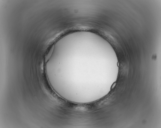 X0000089890358200707262235