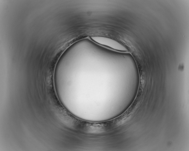 X0000089890359200707262235