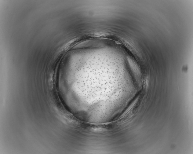 X0000089890360200707262235