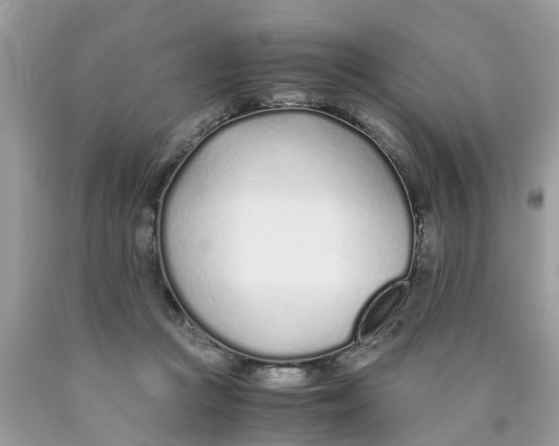 X0000089890361200707262235
