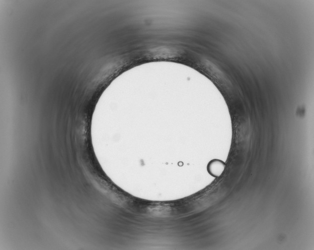 X0000089890362200707262235