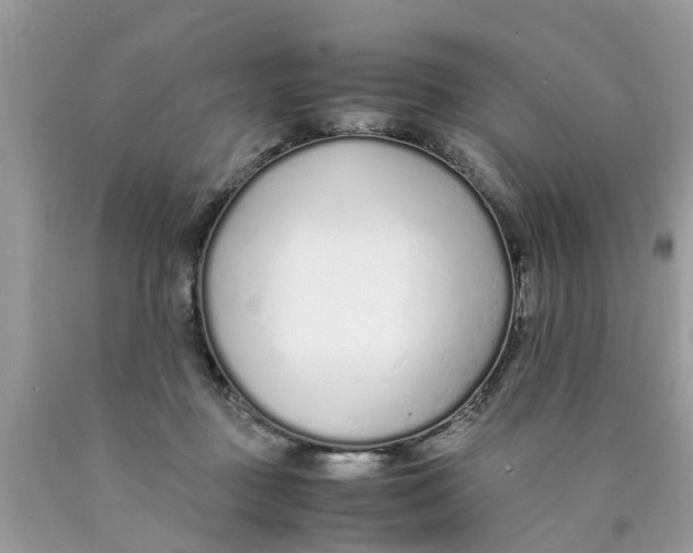 X0000089890363200707262235
