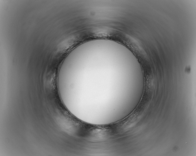 X0000089890364200707262235