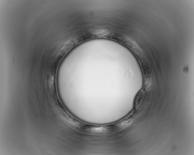 X0000089890365200707262235