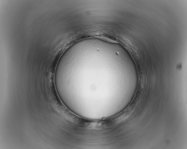X0000089890366200707262235