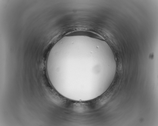 X0000089890367200707262235