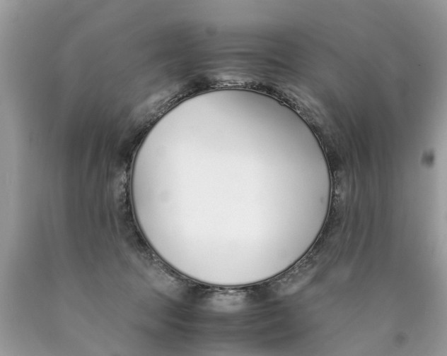 X0000089890369200707262235