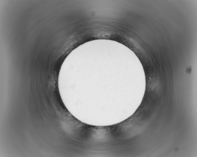 X0000089890370200707262235