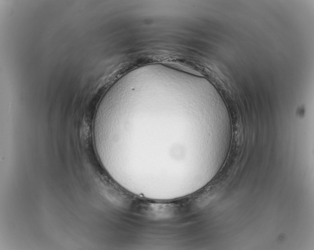 X0000089890371200707262235