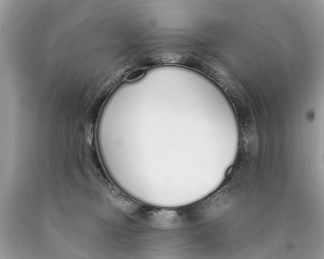 X0000089890374200707262235