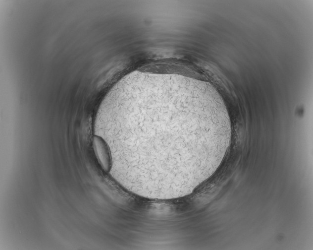 X0000089890376200707262235
