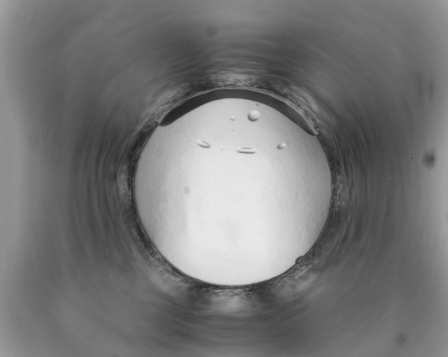 X0000089890377200707262235