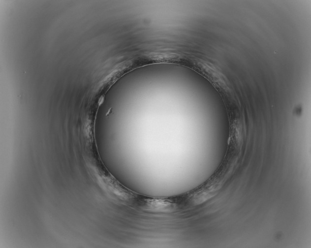 X0000089890380200707262235