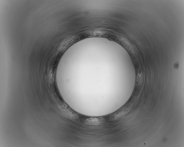 X0000089890381200707262235