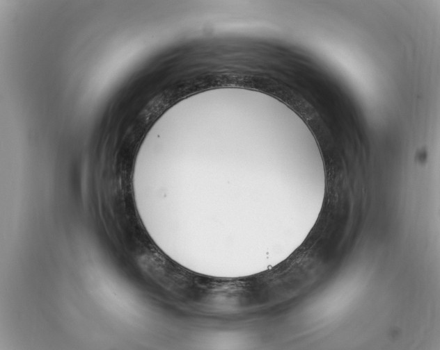 X0000089890382200707262235