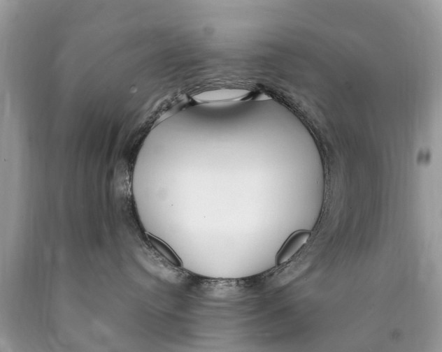 X0000089890384200707262235