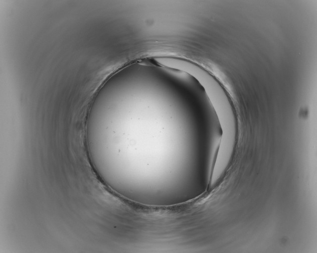 X0000089890385200707262234