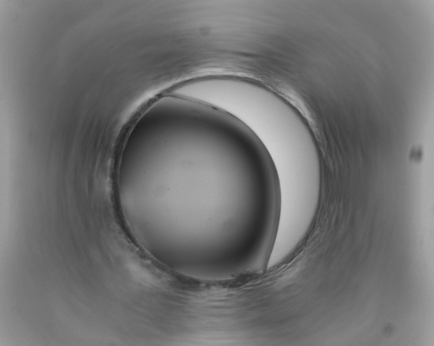 X0000089890387200707262234