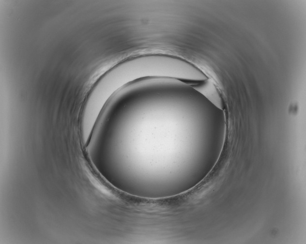 X0000089890389200707262234