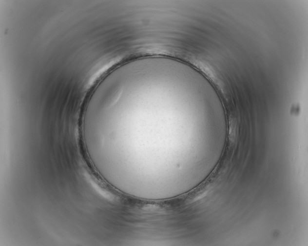 X0000089890390200707262234