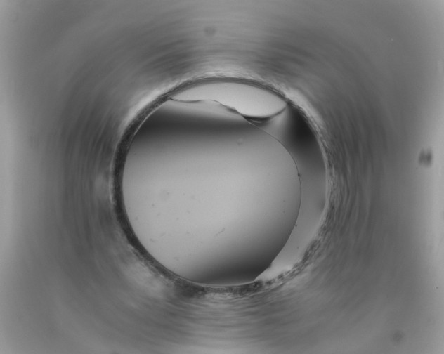 X0000089890391200707262234