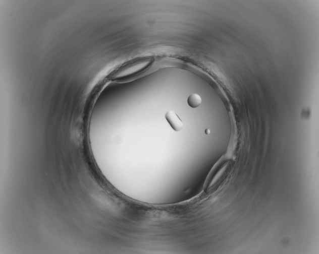 X0000089890392200707262234