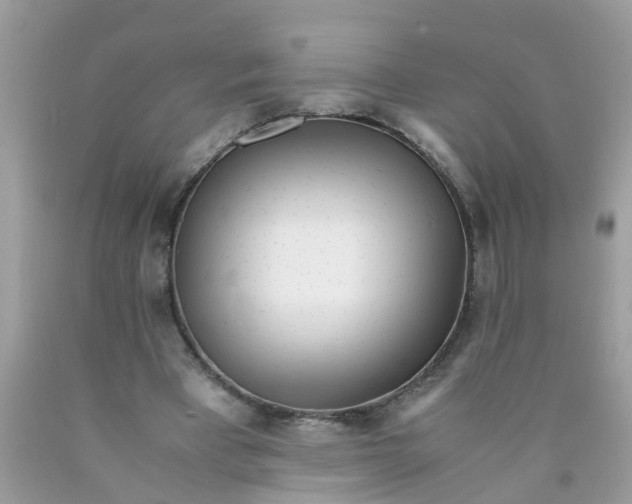 X0000089890393200707262234