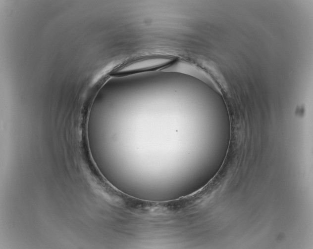 X0000089890395200707262234