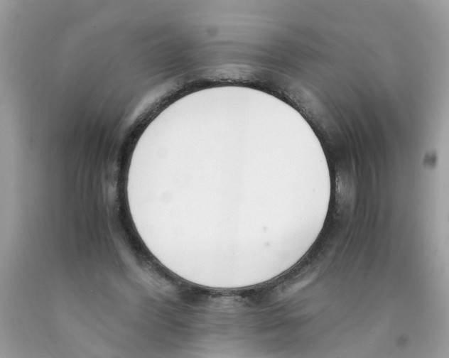 X0000089890396200707262234