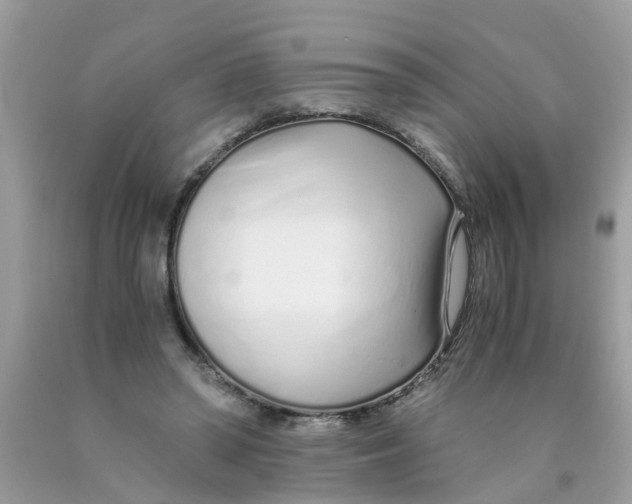 X0000089890398200707262234
