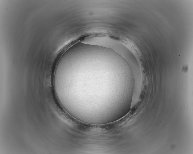 X0000089890399200707262234