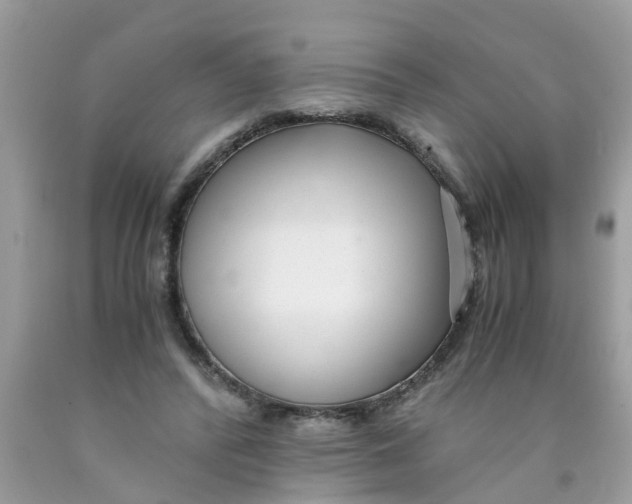 X0000089890400200707262234