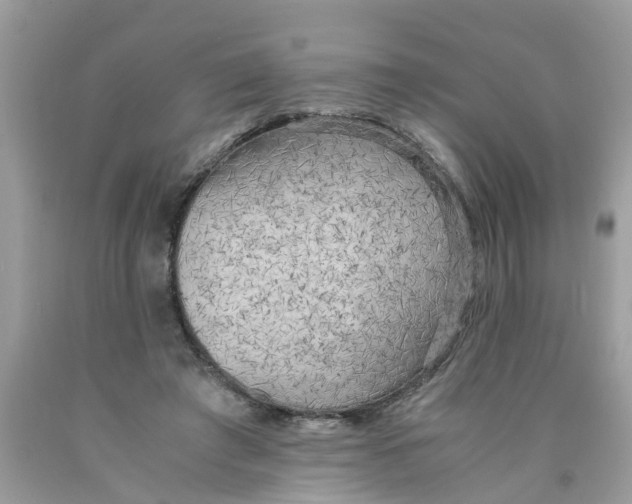 X0000089890401200707262234