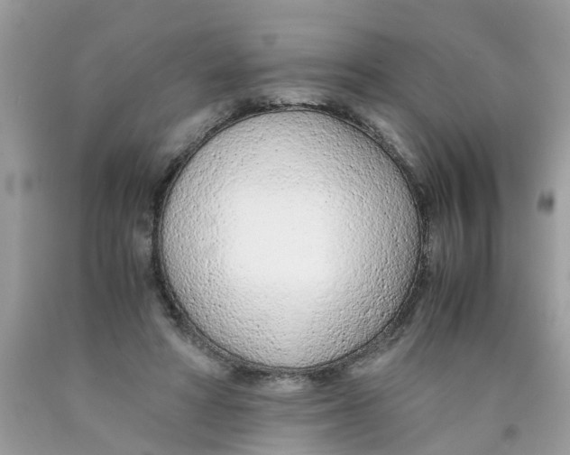 X0000089890402200707262234