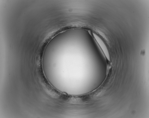 X0000089890403200707262234
