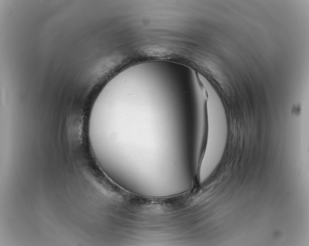 X0000089890404200707262234