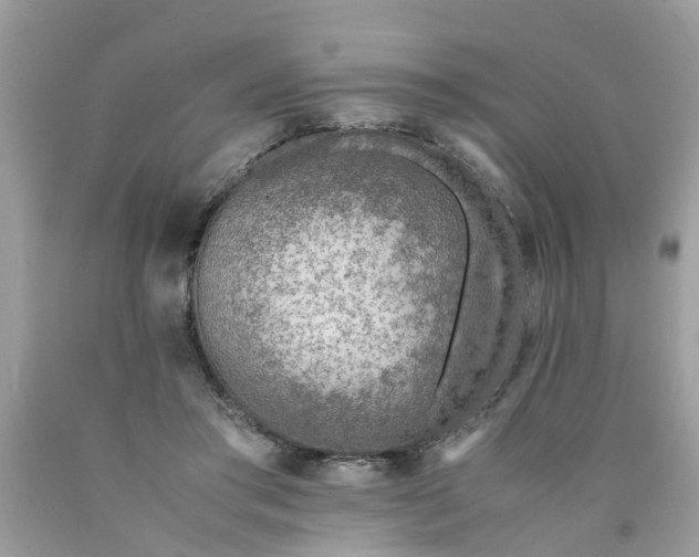 X0000089890405200707262234