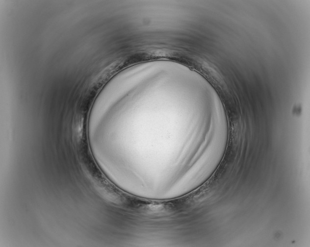 X0000089890406200707262234