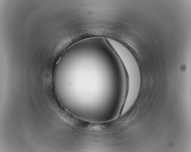 X0000089890407200707262234
