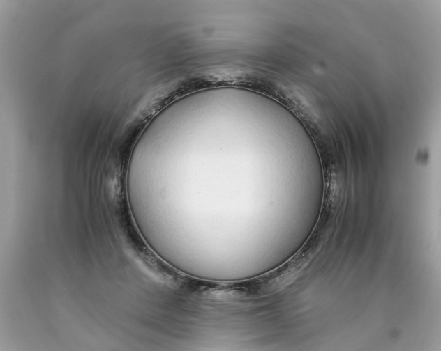 X0000089890408200707262234