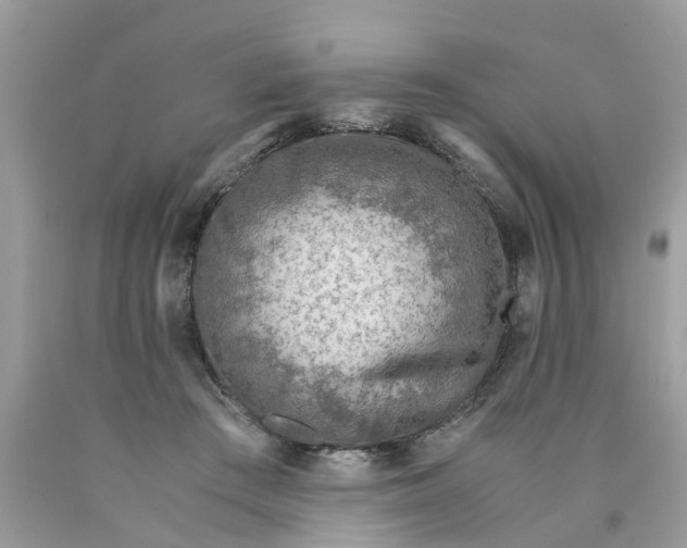 X0000089890409200707262234
