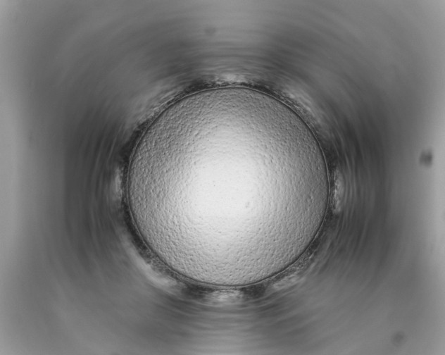 X0000089890410200707262234