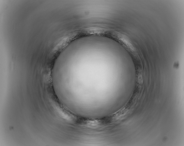 X0000089890411200707262234