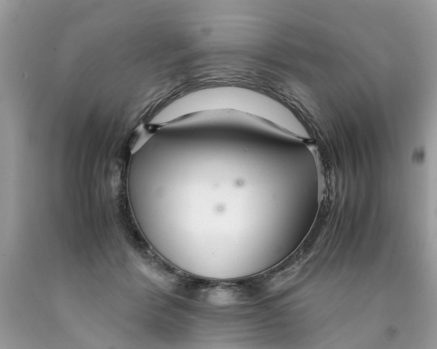 X0000089890412200707262234