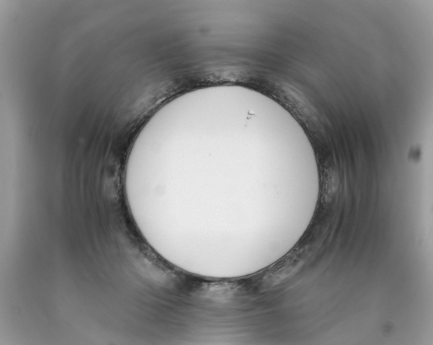 X0000089890414200707262234
