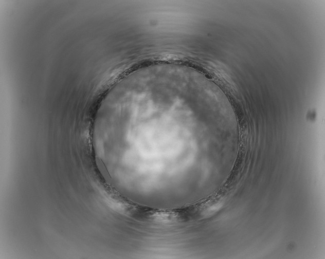 X0000089890415200707262234
