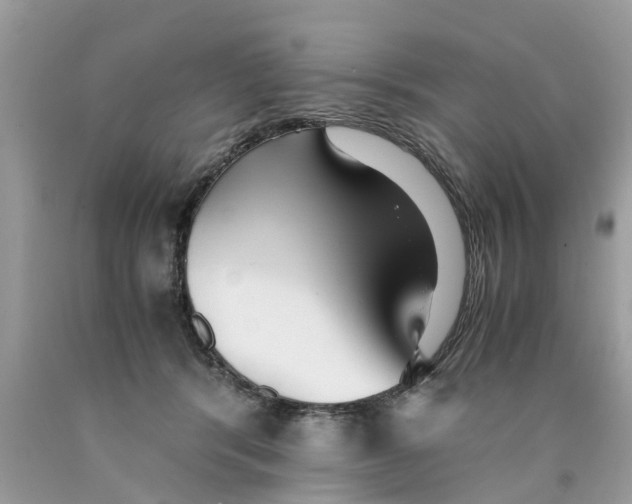 X0000089890416200707262234