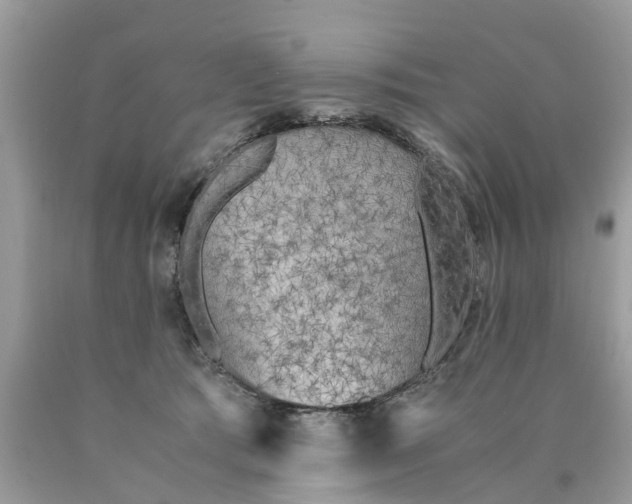 X0000089890417200707262234
