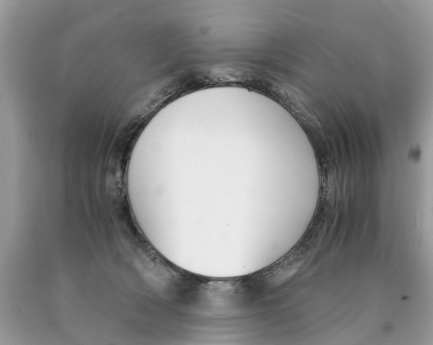 X0000089890418200707262234